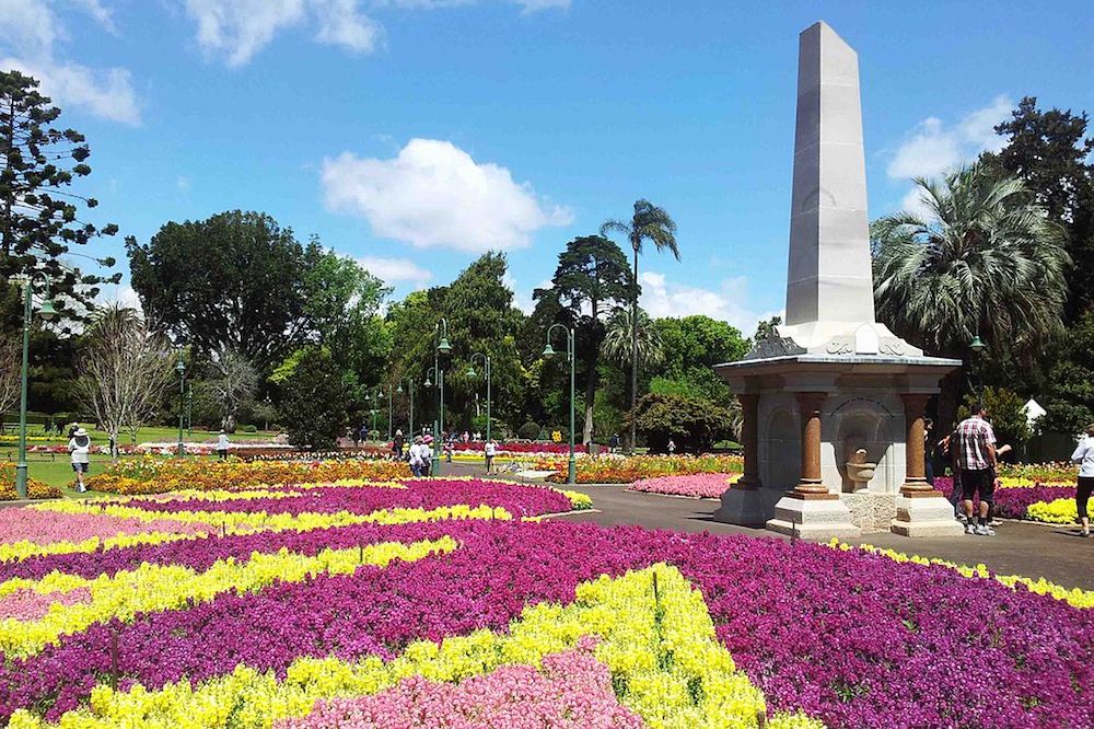 Beautiful blooms at the Alfred Thomas Memorial, Toowoomba