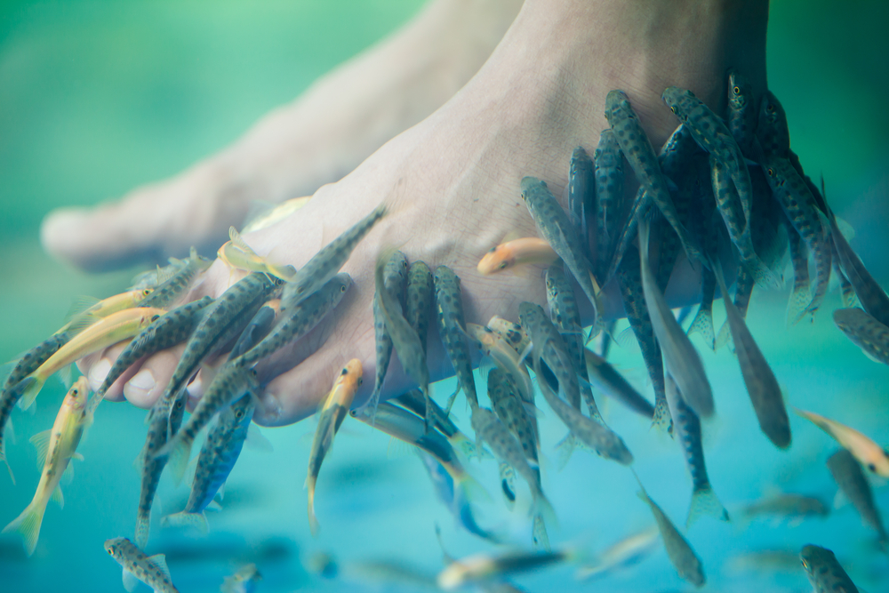 The foot spas are popular in Thailand