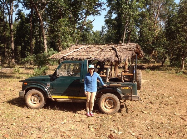 Looking for tigers in India