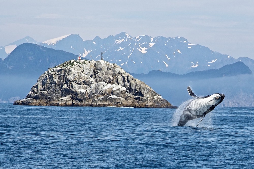 North America is best seen by land and sea