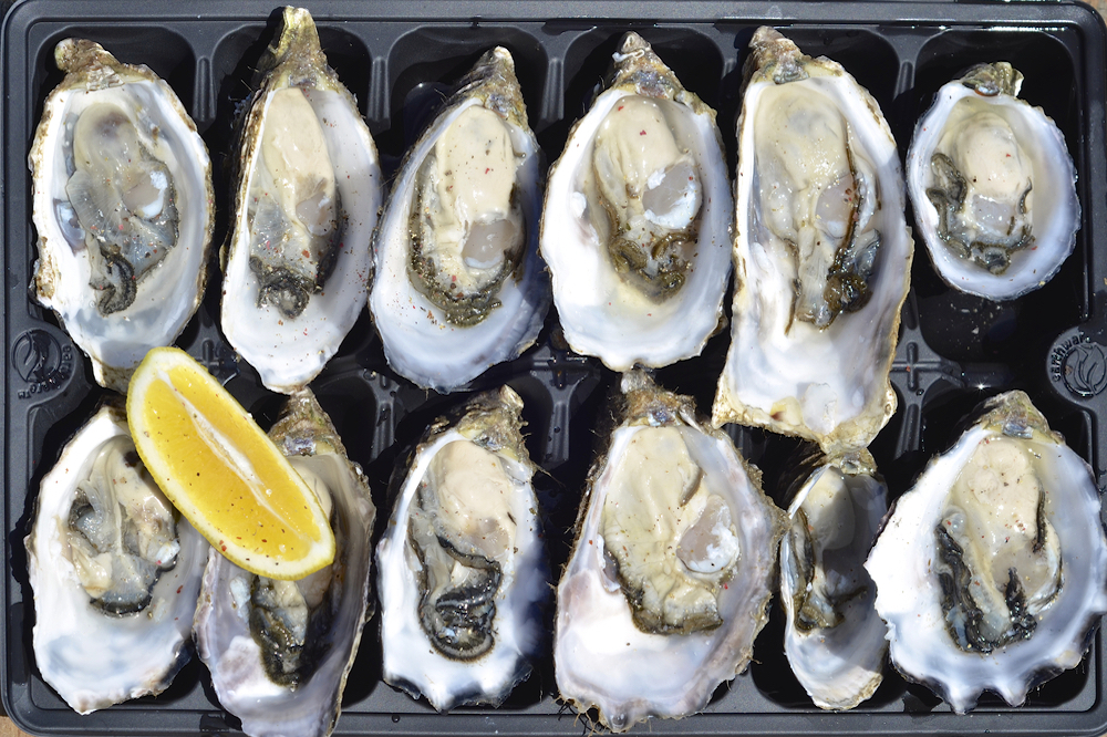 A tray of fresh Kangaroo Island oysters