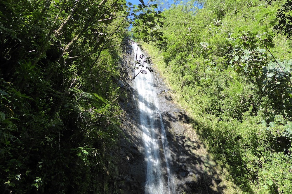 Manoa Falls