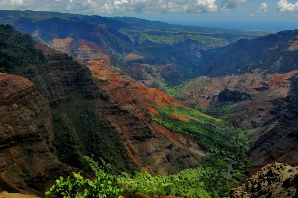 The lush Waimea Canyon