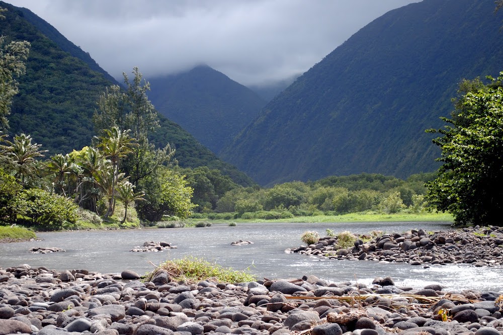 The Waipo Valley Floor. Image: By AlaskaDave (Own work) [CC BY-SA 3.0 (http://creativecommons.org/licenses/by-sa/3.0)], via Wikimedia Commons