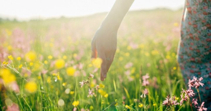 150517wildflowers