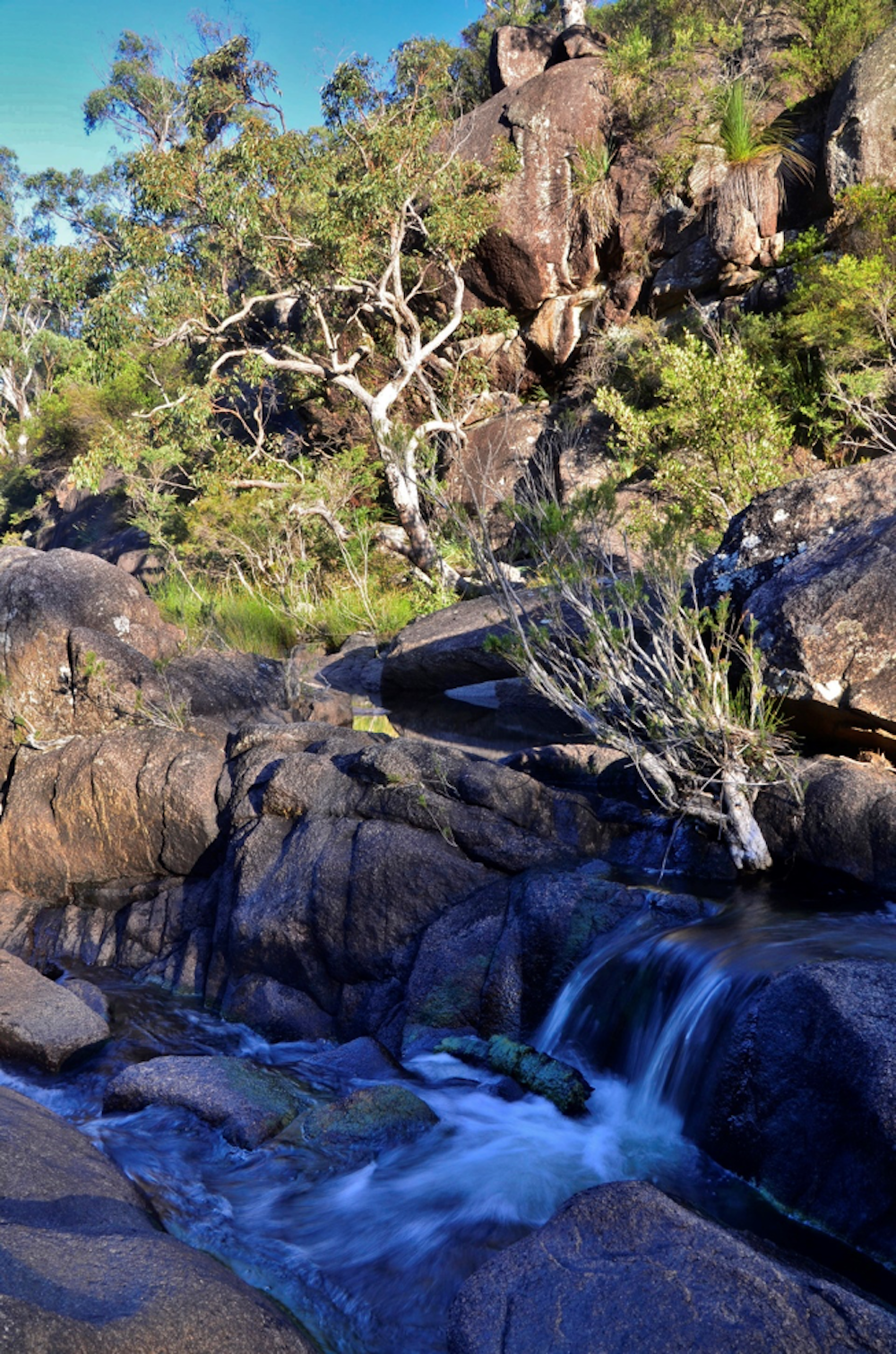 Gibraltar Range National Park 