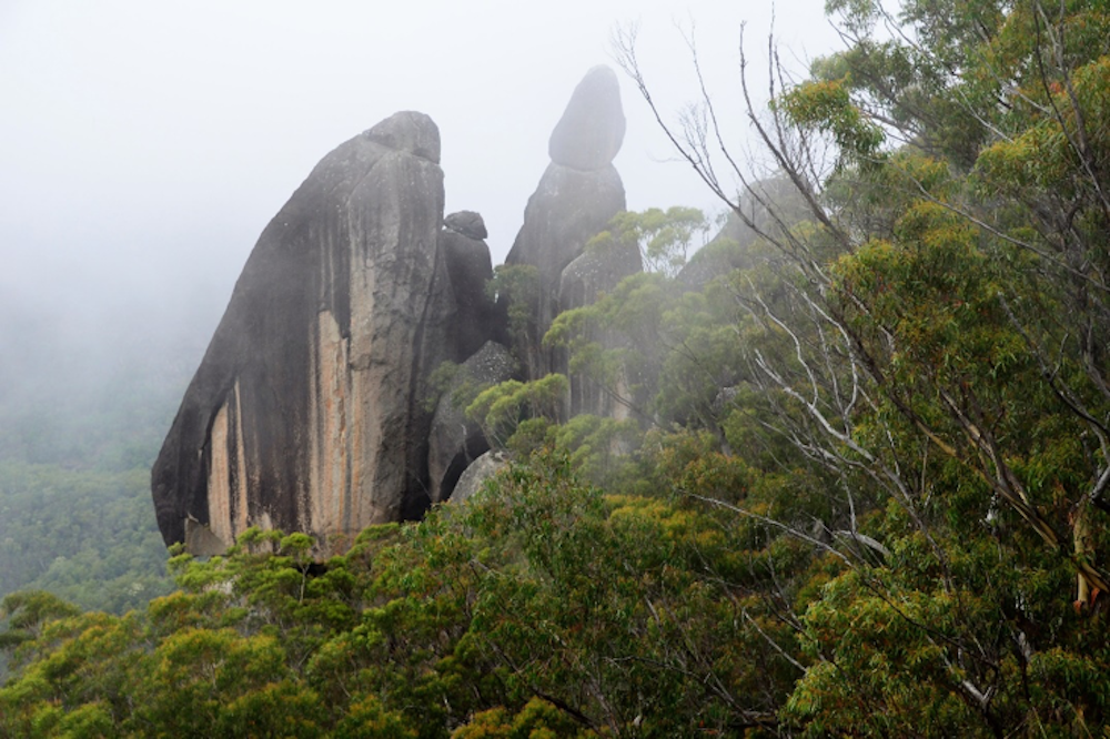 Gibraltar Range National Park 