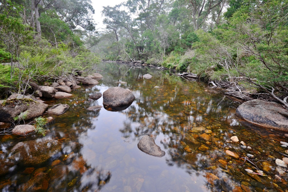 Gibraltar Range National Park 