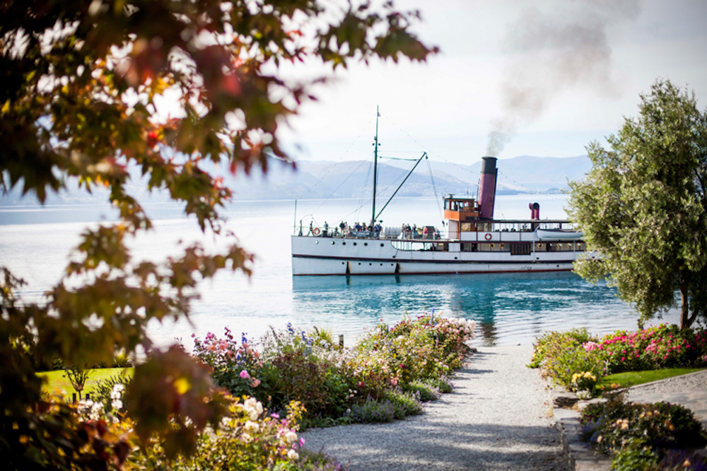 New Zealand cruise