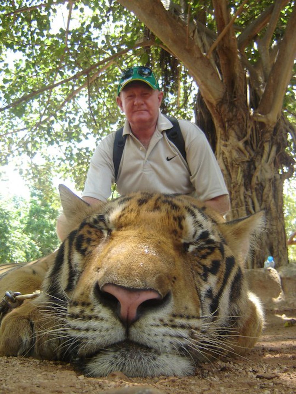 Dawn's husband Stephen with a tiger