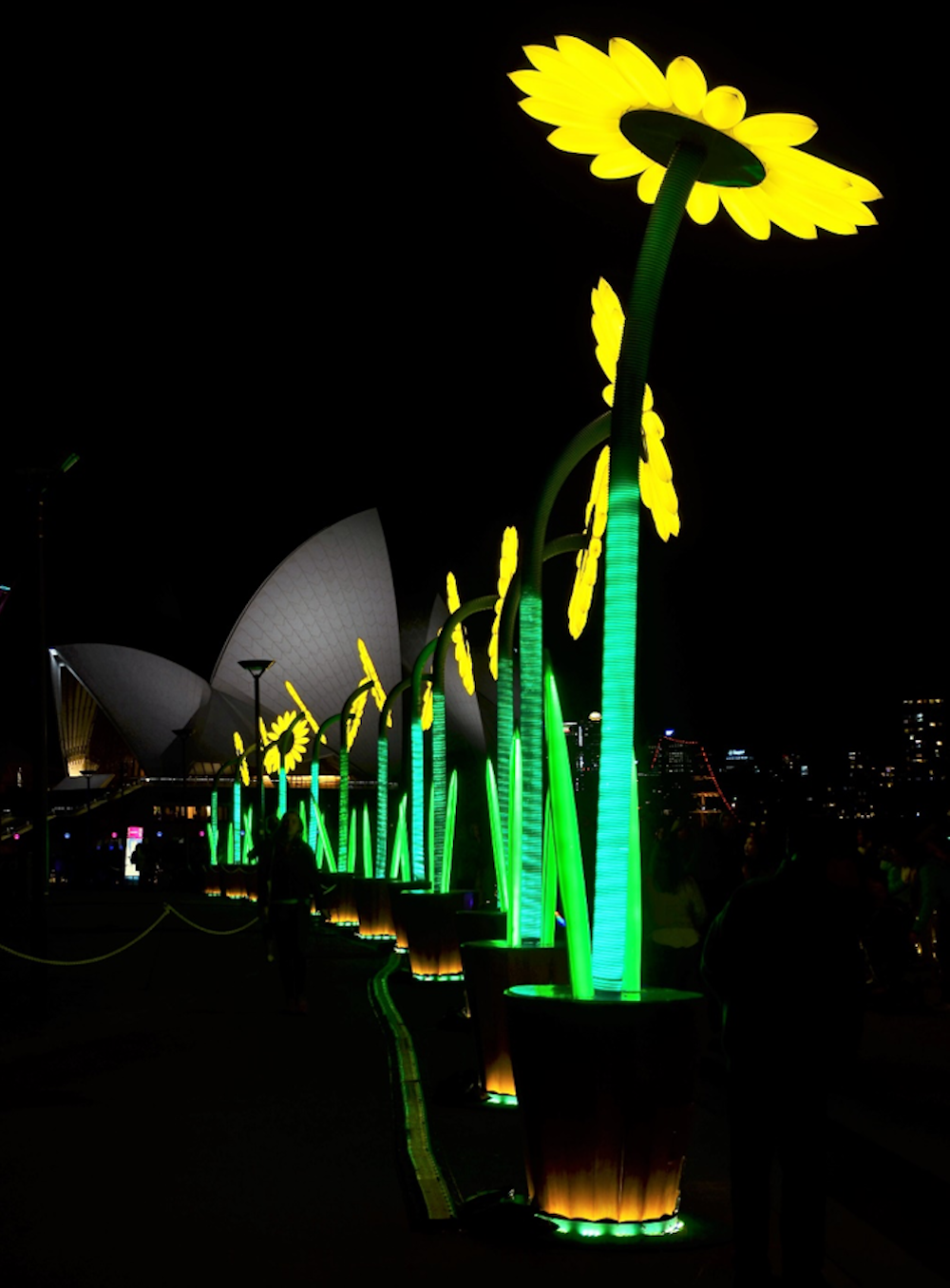 Vivid Sydney