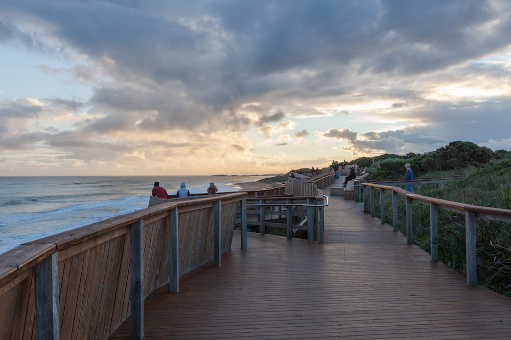 The whale viewing platform at Warrnambool