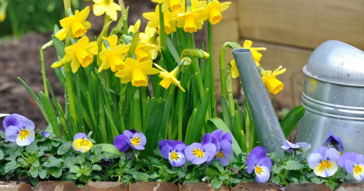 Natural ways to treat tinnitus Natural ways to treat tinnitus