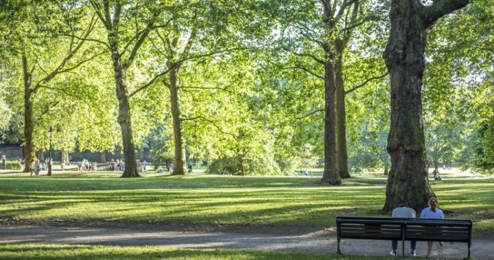 16.7 park bench Women sitting on park bench