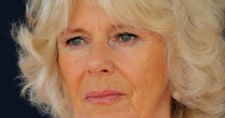 Double portrait release marks Camilla's 70th birthday Double portrait release marks Camilla's 70th birthday