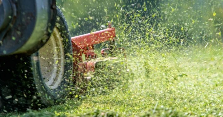 816 lawnmower cutting grass