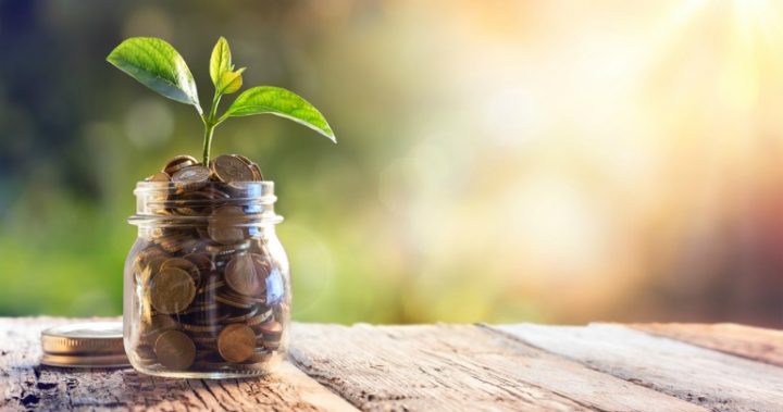 plant money