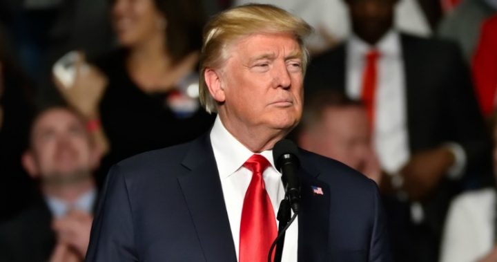 donald-trump-ratings1