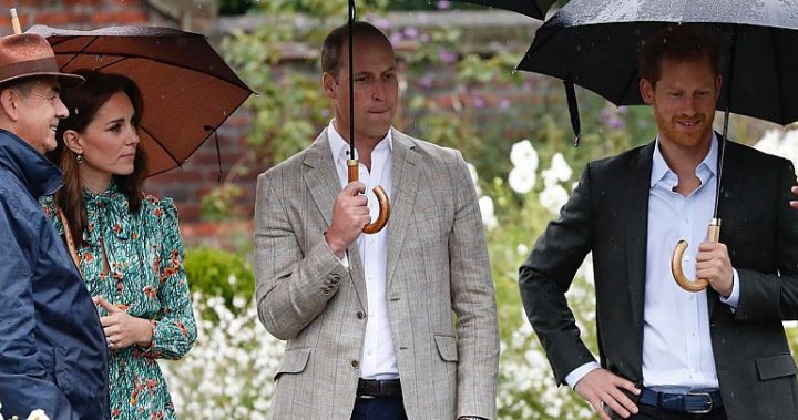 william kate and harry william kate and harry