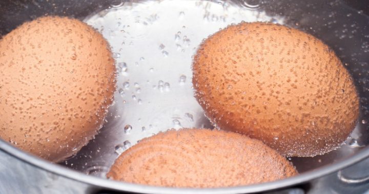 boiled egg in pot boiled egg in pot