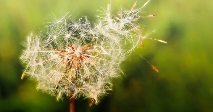 shutterstock_584691853