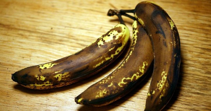 brown banana ile ilgili görsel sonucu