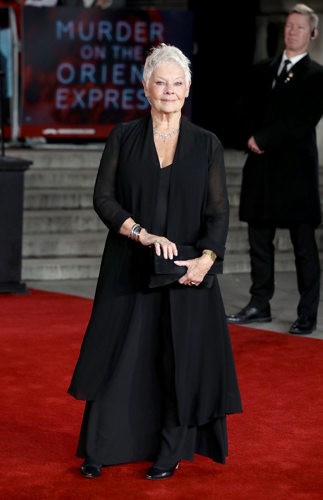 Judy Dench Red Carpet Dresses | Dresses Images 2022