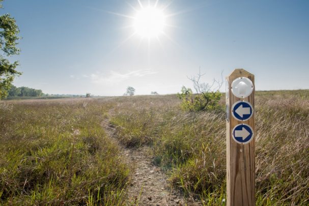 Why it's time to take ownership of our own death Why it's time to take ownership of our own death