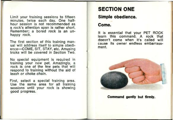 It was the ’70s and I was the proud owner of a pet rock - Starts at 60