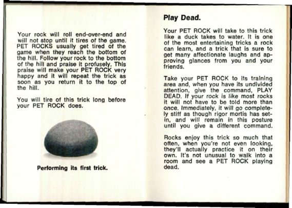 The Rise and Fall of the Pet Rock: A Look Back at the 1975 Holiday