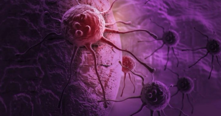 New found 'organ' in humans found by advanced visualizing anatomy New found 'organ' in humans found by advanced visualizing anatomy