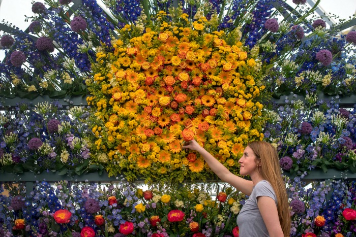 This year's show is packed with bright, vibrant displays