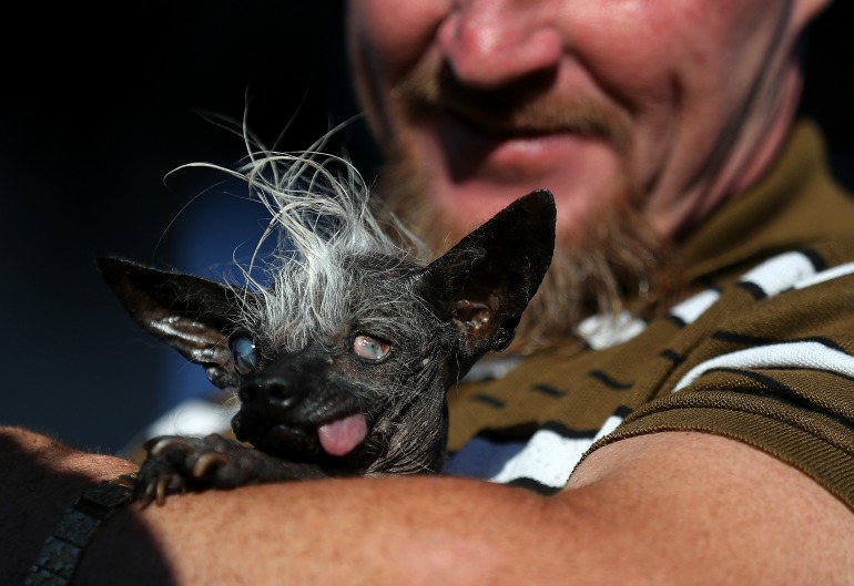 In 2016, Sweepee Rambo took out the first prize. Source: Getty 