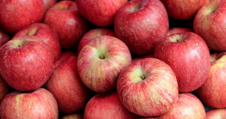 What Foods Not To Eat When Constipated What Foods Not To Eat When Constipated