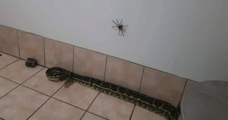 A Reddit user captured the terrifying moment on camera. Source: Reddit/Stormwalkers.