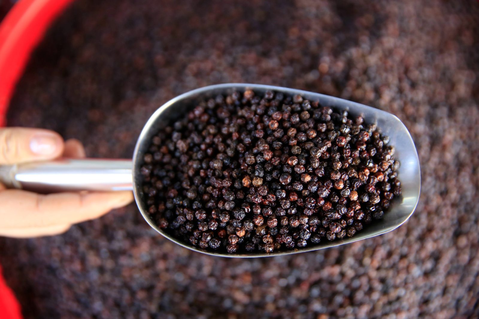 Black peppercorn is a rich source of minerals and nutrients. Source: Getty