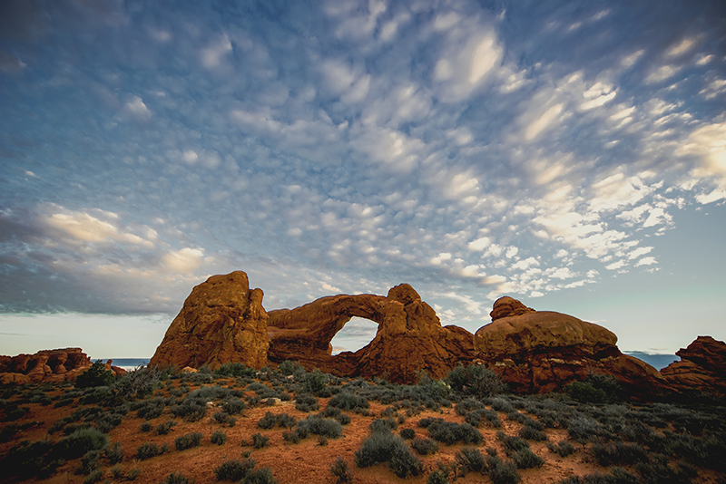 Arches National Park Credit David Fortney