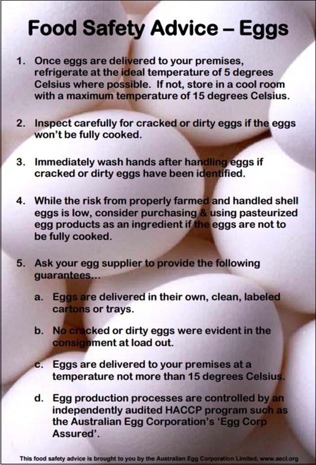 Egg corporation safety