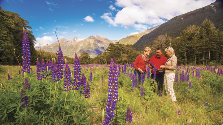 NZ-South-Island