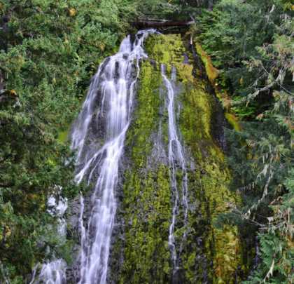 Proxy Falls (62) Stitch (640x617)