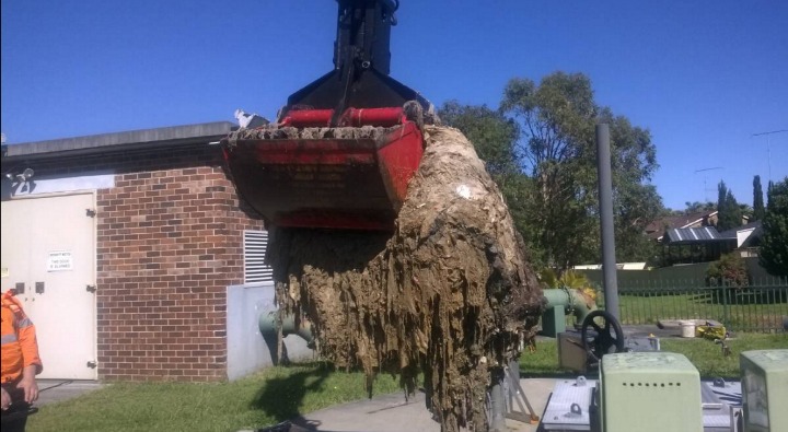 'Flushable' wet wipes being removed from pipes. Photo: Illawarra Mercury