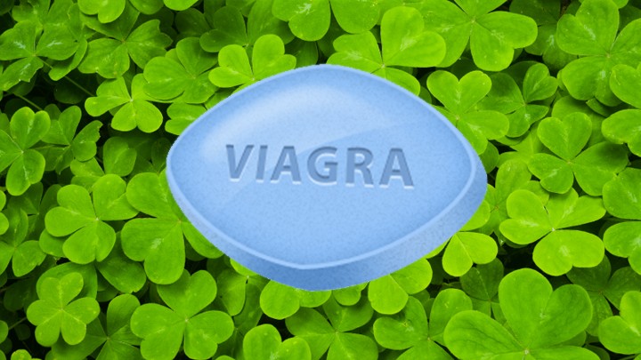 irish-clover-viagra